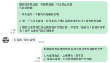 微光村莊毛孩陪伴紀錄：微光分享毛孩皮膚看診檢查順序與急症止癢應對，引導家長精準與獸醫師溝通