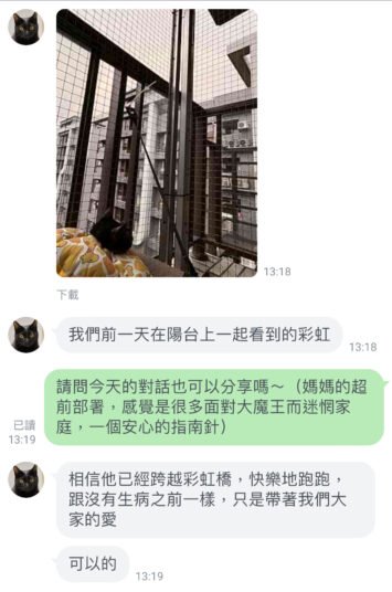 微光村莊毛孩日常分享：黑貓伍吉看彩虹的生活照與告別紀錄，撫平飼主面對生命關卡的迷惘