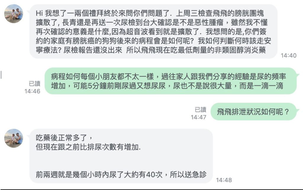 微光村莊寵物安寧支持諮詢：微光團隊在線解答膀胱癌毛孩病程變化，協助家長判斷安寧照護時機