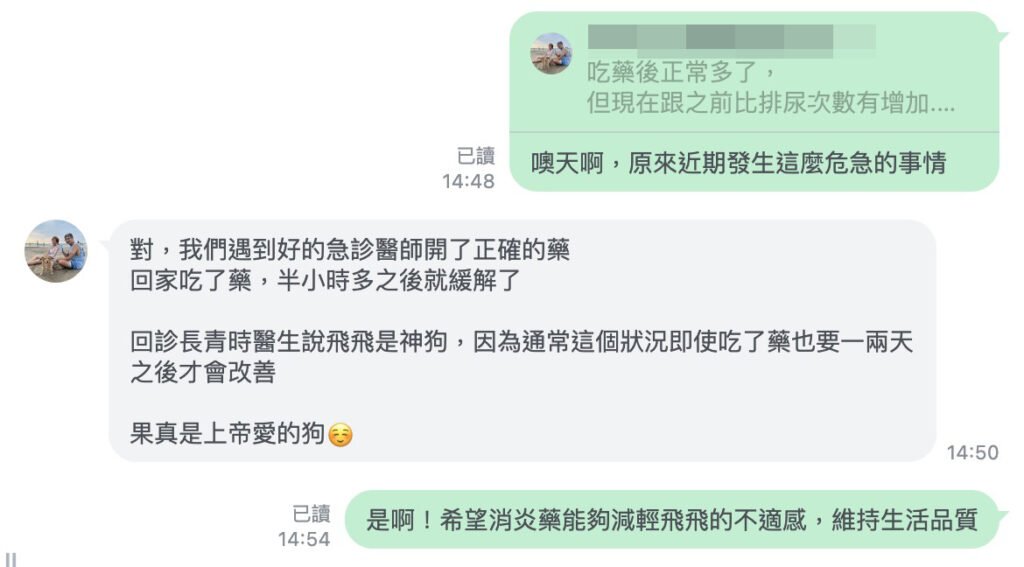微光村莊毛孩陪伴紀錄：罹癌高齡犬飛飛急診用藥緩解，微光團隊在線追蹤生活品質與日常照護狀況