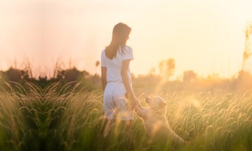 微光湖盼服務方案